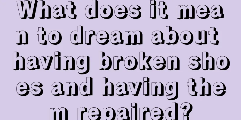 What does it mean to dream about having broken shoes and having them repaired?