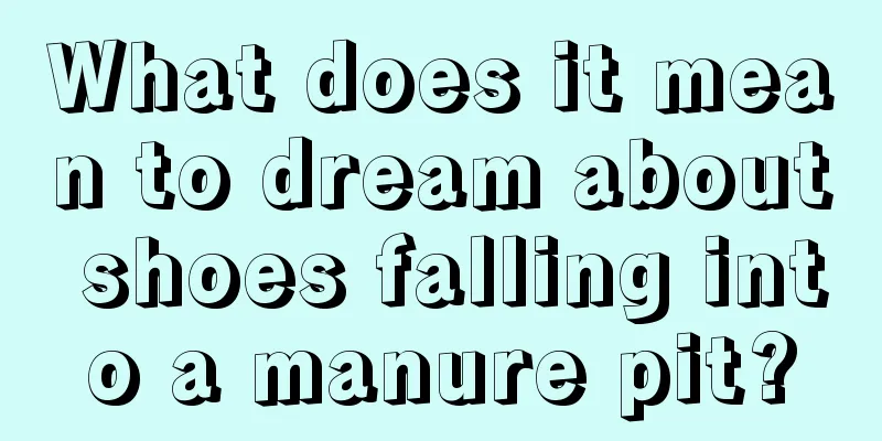 What does it mean to dream about shoes falling into a manure pit?