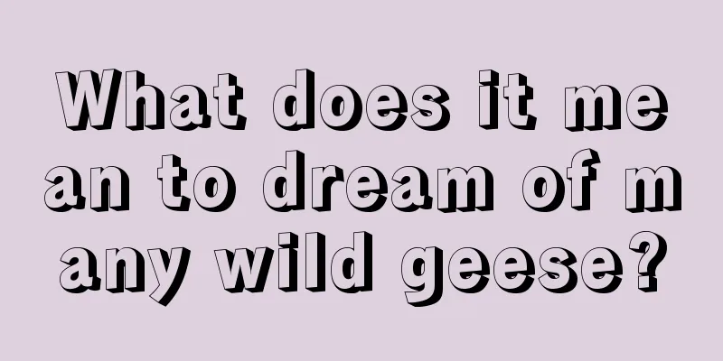 What does it mean to dream of many wild geese?