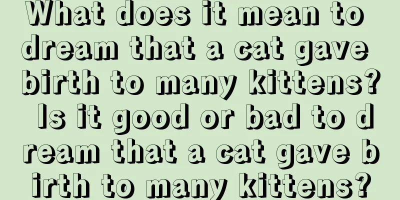 What does it mean to dream that a cat gave birth to many kittens? Is it good or bad to dream that a cat gave birth to many kittens?