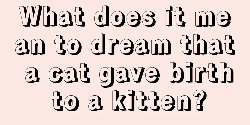 What does it mean to dream that a cat gave birth to a kitten?