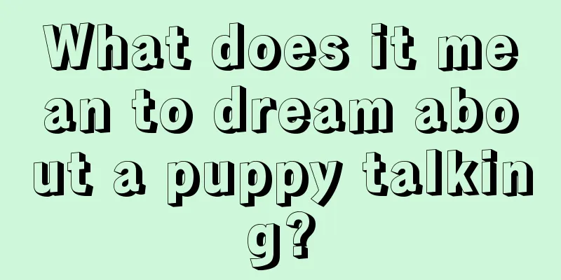 What does it mean to dream about a puppy talking?