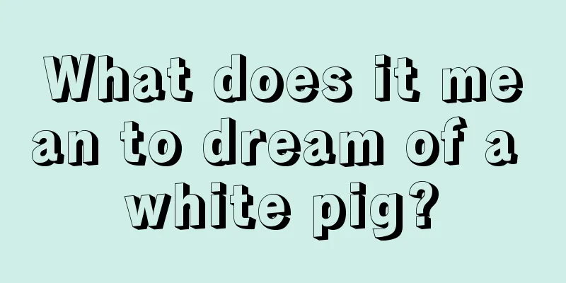 What does it mean to dream of a white pig?