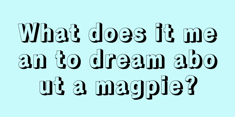 What does it mean to dream about a magpie?