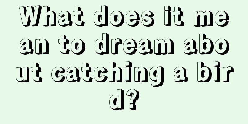 What does it mean to dream about catching a bird?