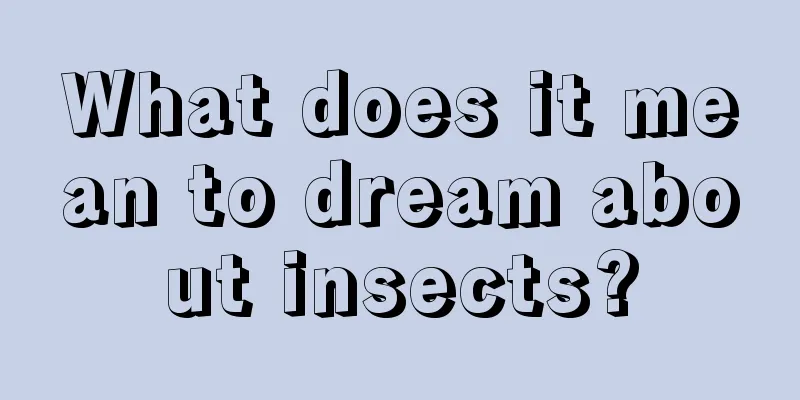 What does it mean to dream about insects?