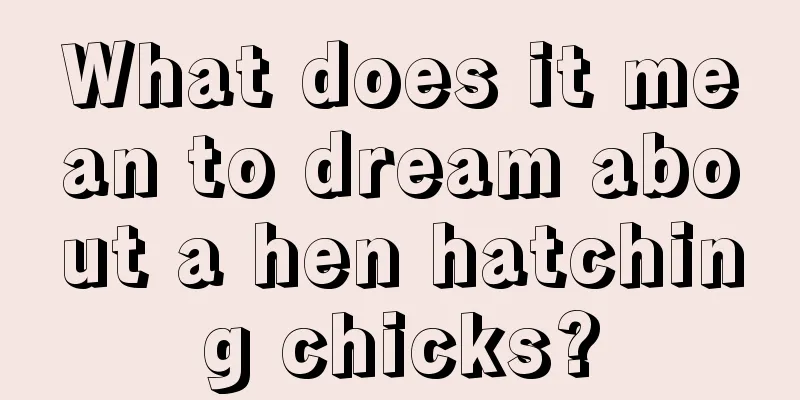 What does it mean to dream about a hen hatching chicks?