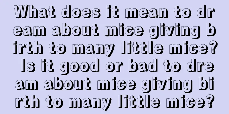 What does it mean to dream about mice giving birth to many little mice? Is it good or bad to dream about mice giving birth to many little mice?