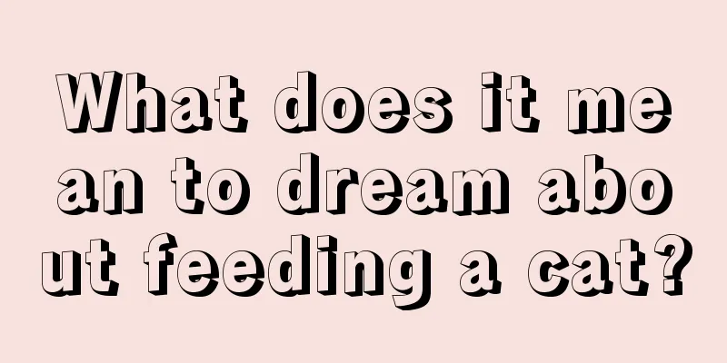 What does it mean to dream about feeding a cat?