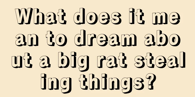 What does it mean to dream about a big rat stealing things?