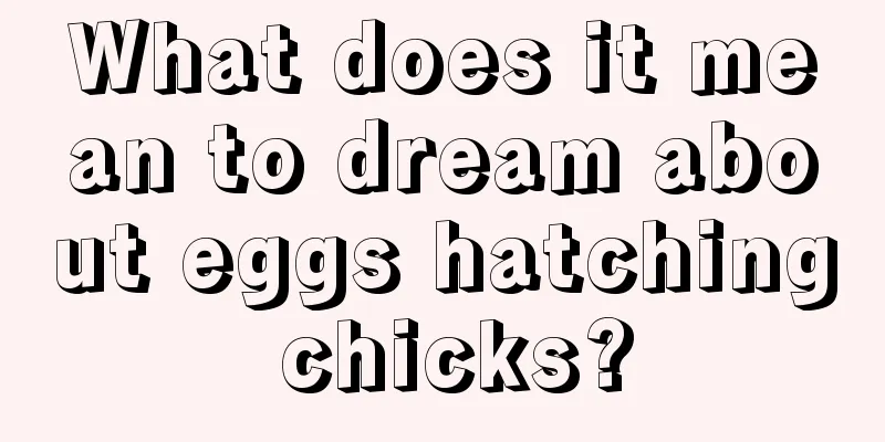 What does it mean to dream about eggs hatching chicks?