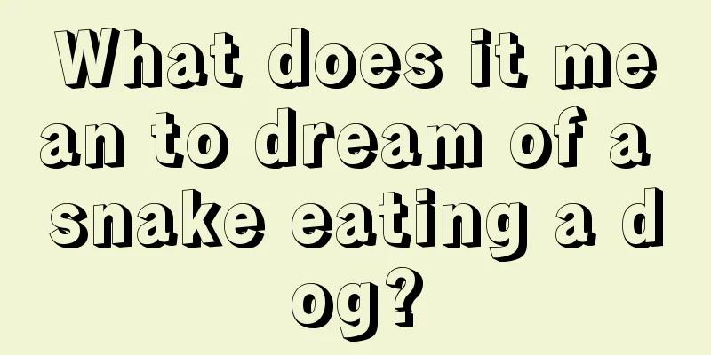 What does it mean to dream of a snake eating a dog?