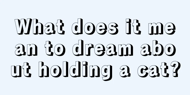 What does it mean to dream about holding a cat?