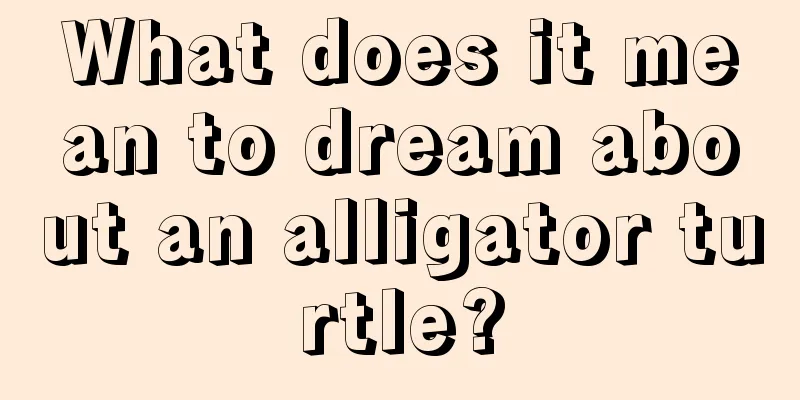 What does it mean to dream about an alligator turtle?