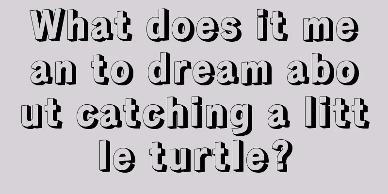 What does it mean to dream about catching a little turtle?