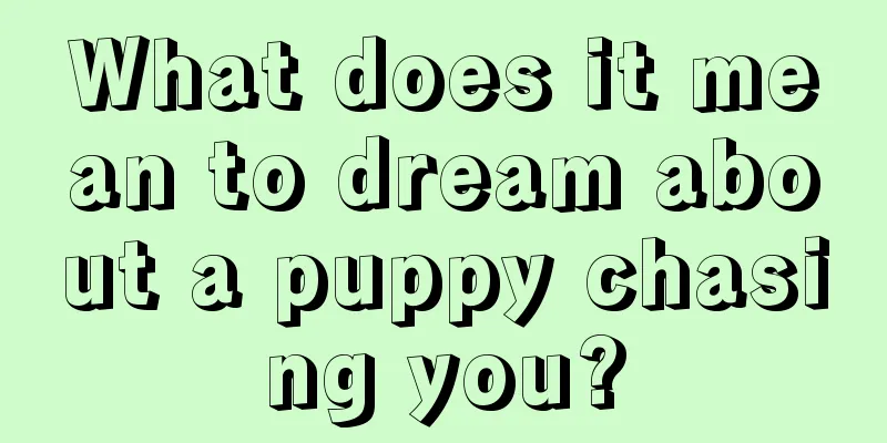 What does it mean to dream about a puppy chasing you?