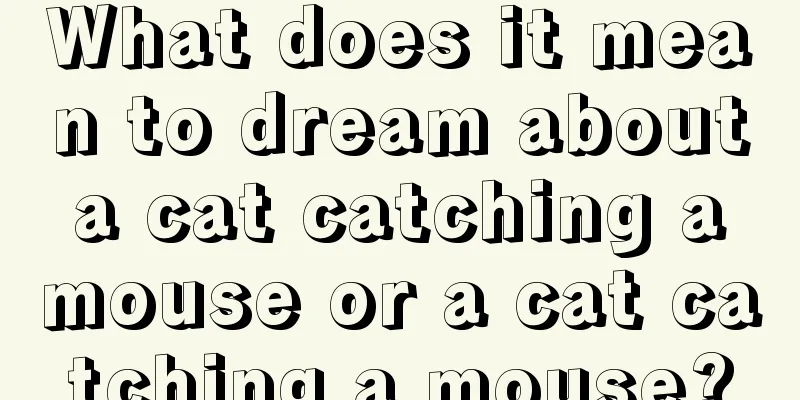 What does it mean to dream about a cat catching a mouse or a cat catching a mouse?