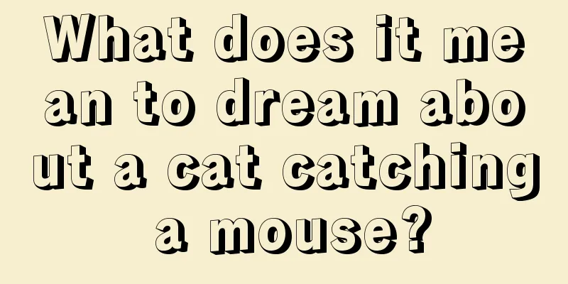 What does it mean to dream about a cat catching a mouse?