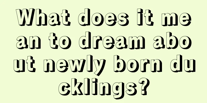 What does it mean to dream about newly born ducklings?