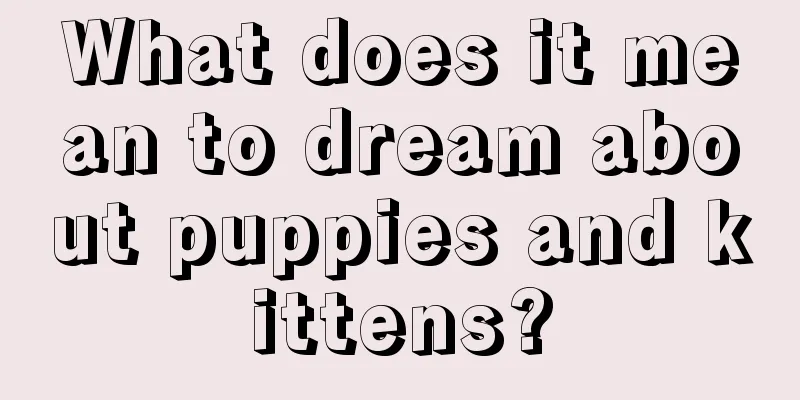 What does it mean to dream about puppies and kittens?