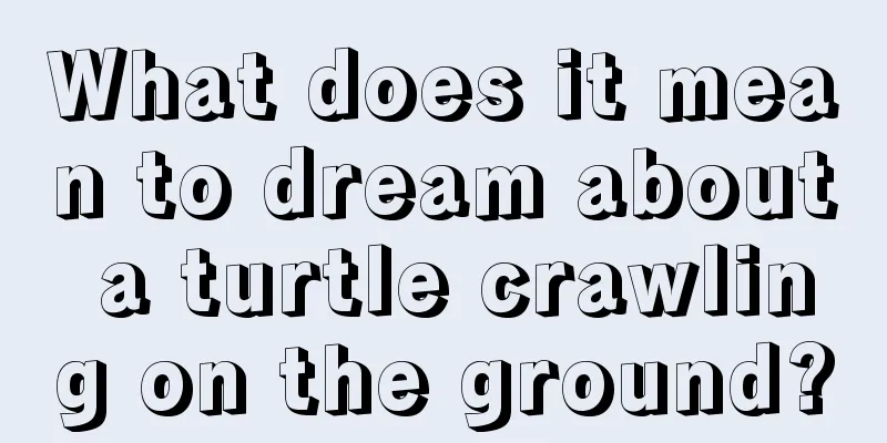 What does it mean to dream about a turtle crawling on the ground?