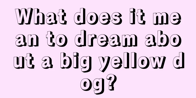 What does it mean to dream about a big yellow dog?