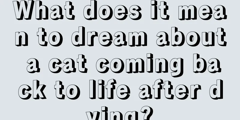 What does it mean to dream about a cat coming back to life after dying?