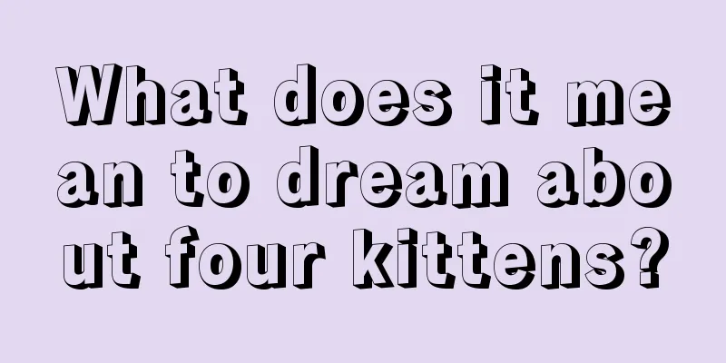 What does it mean to dream about four kittens?