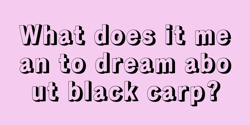 What does it mean to dream about black carp?