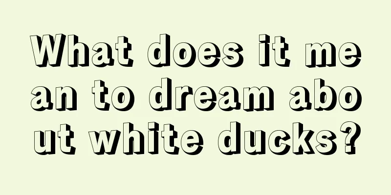 What does it mean to dream about white ducks?