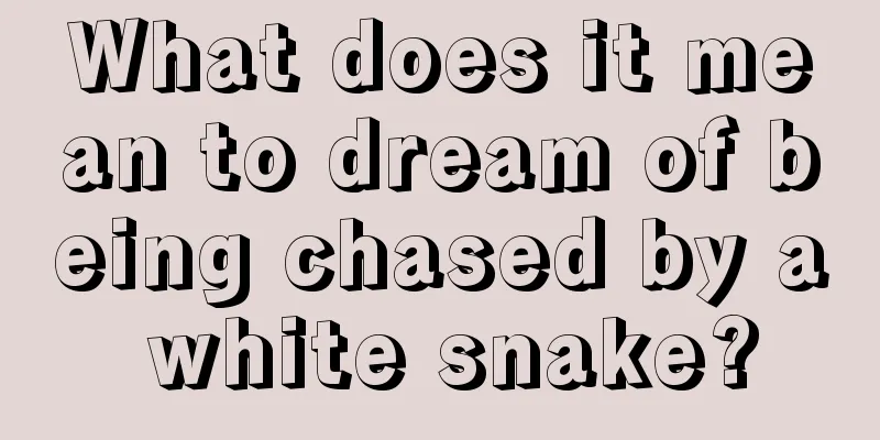 What does it mean to dream of being chased by a white snake?