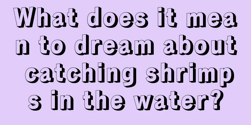 What does it mean to dream about catching shrimps in the water?