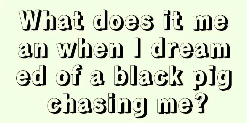 What does it mean when I dreamed of a black pig chasing me?