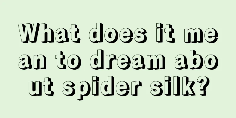 What does it mean to dream about spider silk?