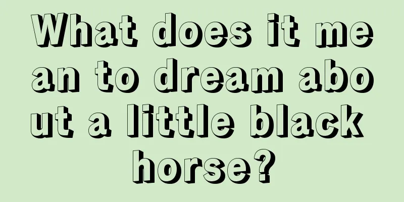 What does it mean to dream about a little black horse?