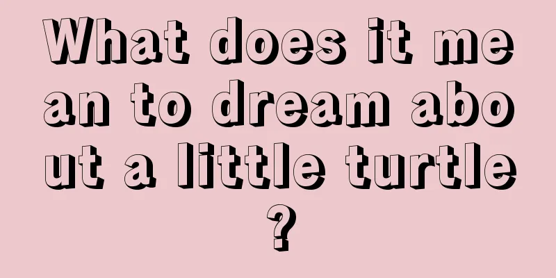 What does it mean to dream about a little turtle?