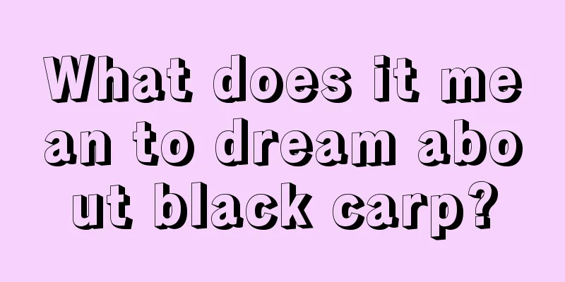 What does it mean to dream about black carp?