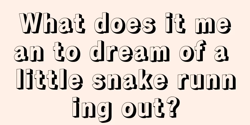 What does it mean to dream of a little snake running out?