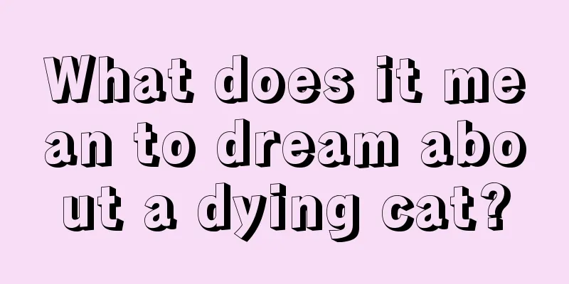 What does it mean to dream about a dying cat?