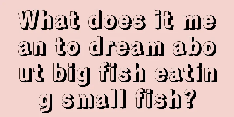 What does it mean to dream about big fish eating small fish?