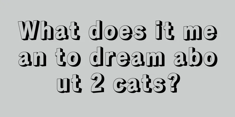 What does it mean to dream about 2 cats?