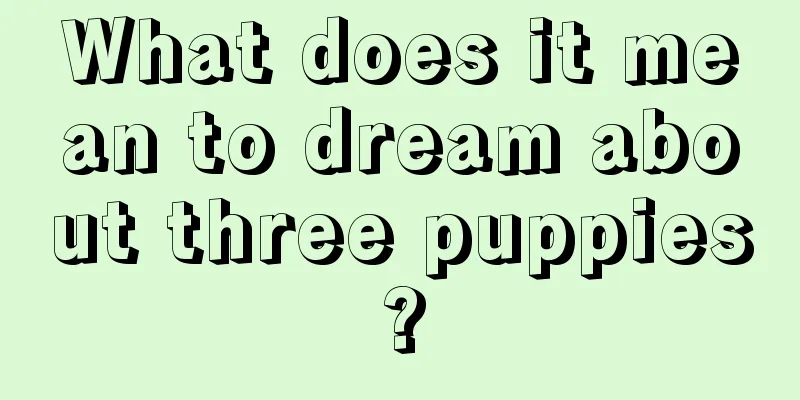 What does it mean to dream about three puppies?