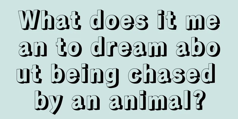 What does it mean to dream about being chased by an animal?