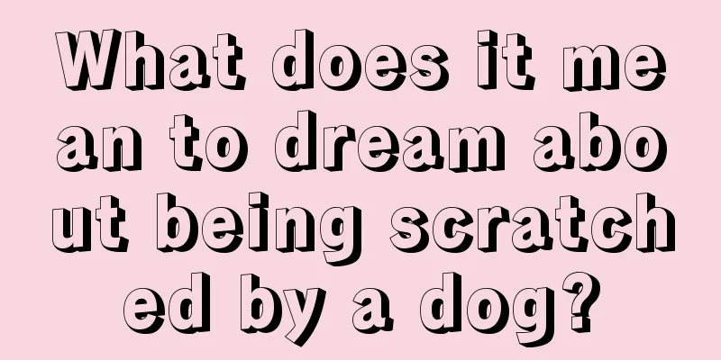 What does it mean to dream about being scratched by a dog?