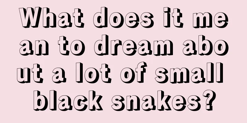 What does it mean to dream about a lot of small black snakes?