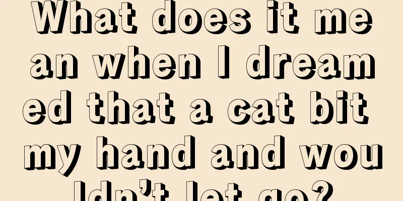 What does it mean when I dreamed that a cat bit my hand and wouldn’t let go?