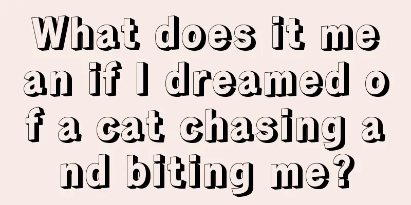 What does it mean if I dreamed of a cat chasing and biting me?