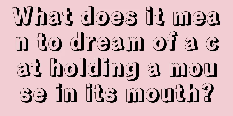 What does it mean to dream of a cat holding a mouse in its mouth?