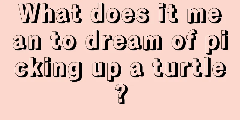 What does it mean to dream of picking up a turtle?