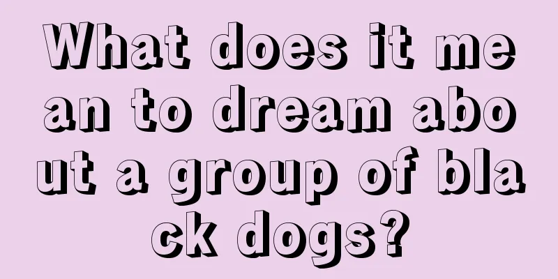 What does it mean to dream about a group of black dogs?